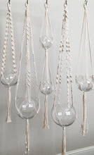 Load image into Gallery viewer, Set of 5 macrame plant hangers with glass vases included
